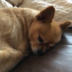 Meet your Posher, Maureen